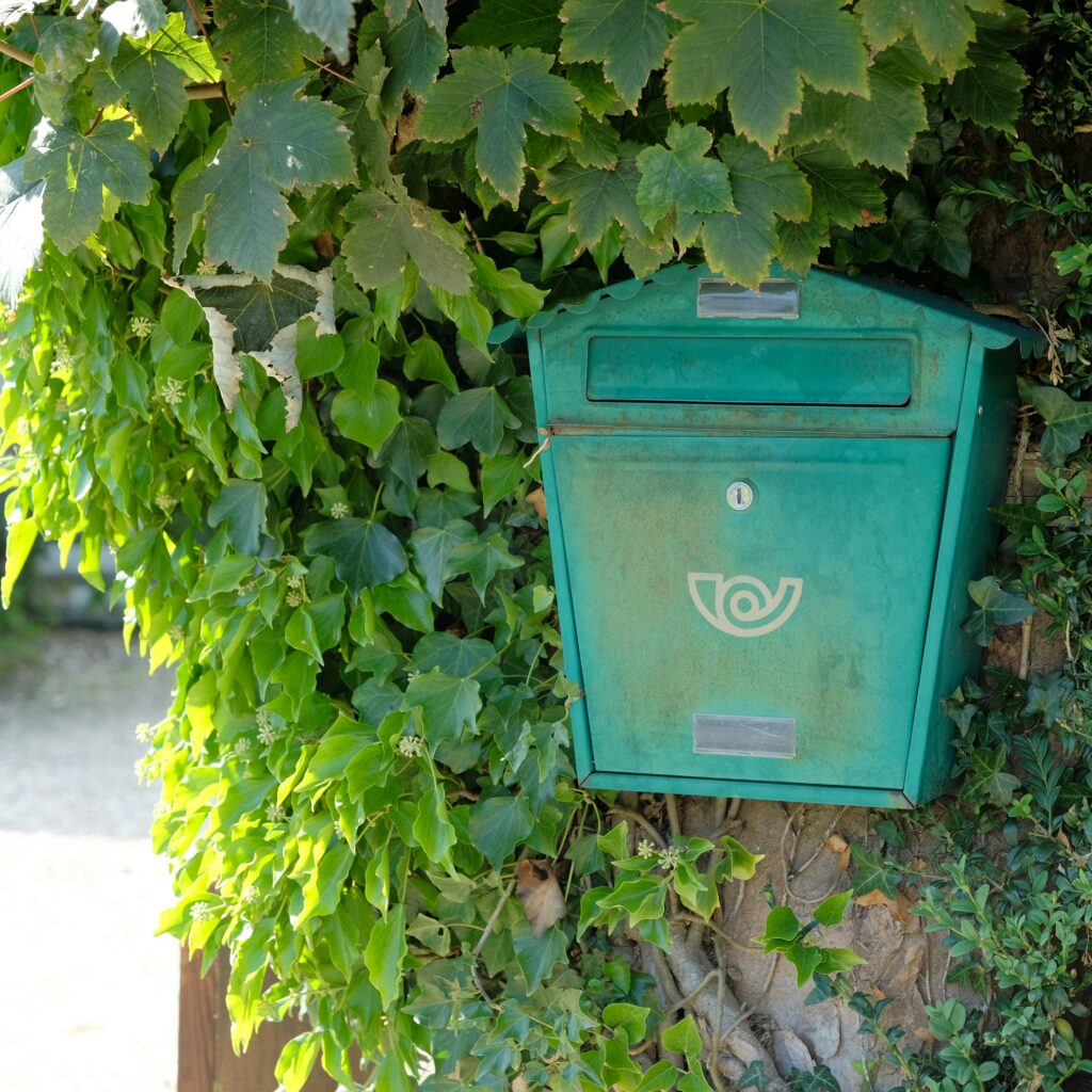 Seeing Each Other in the Good Light: A reflection on the Andrea Gibson documentary 2 Green letterbox standing on a wall with leaves around it